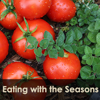 Eating with the Seasons