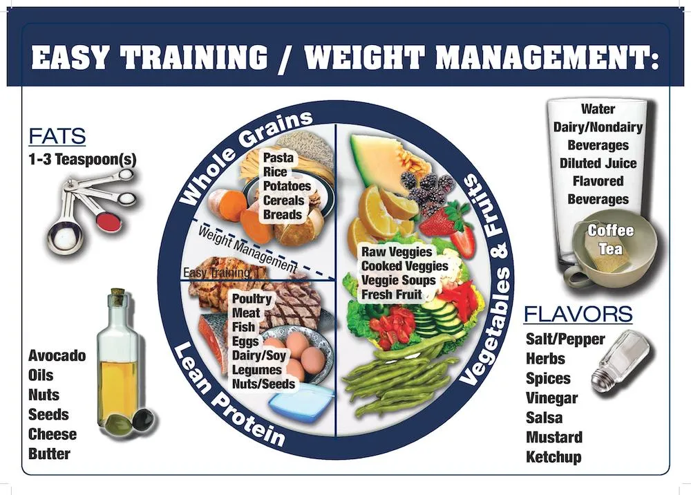 Easy Training Plate